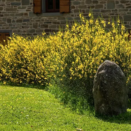 Appartement Terrazza Sul Parco *