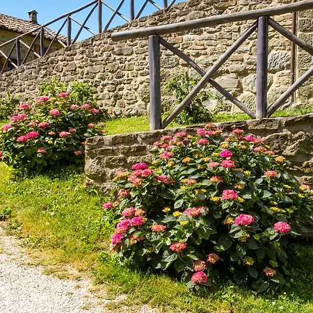 Appartement Terrazza Sul Parco Bagno di Romagna