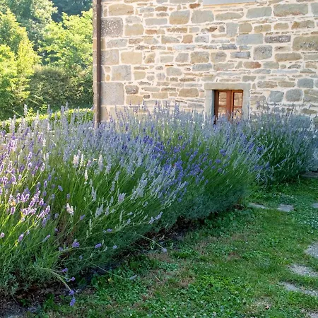 Terrazza Sul Parco Bagno di Romagna
