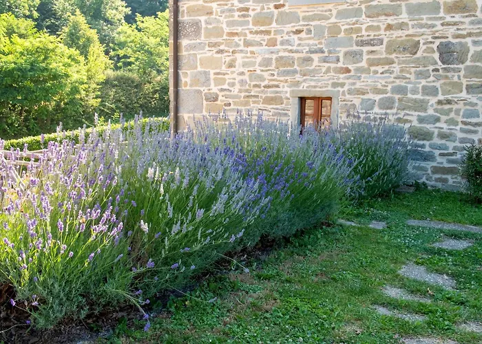 Terrazza Sul Parco Bagno di Romagna