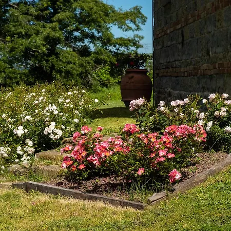 Terrazza Sul Parco 바뇨디로마냐