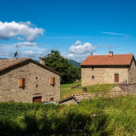 アパート Terrazza Sul Parco バーニョ・ディ・ロマーニャ