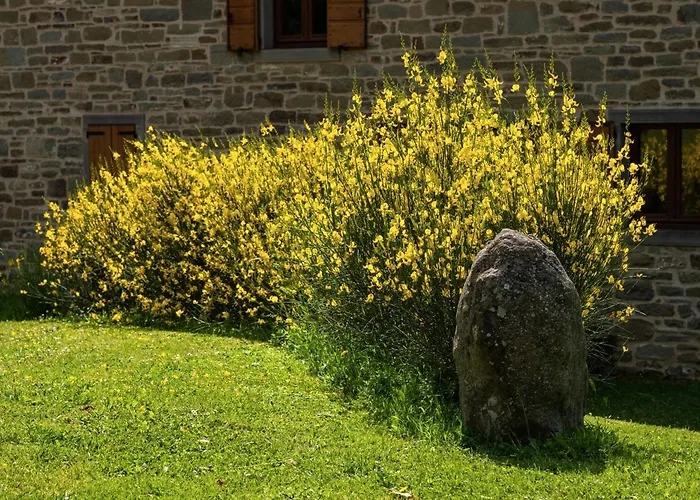 Daire Terrazza Sul Parco *
