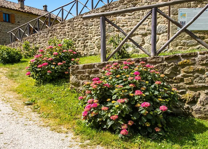 Daire Terrazza Sul Parco Bagno di Romagna