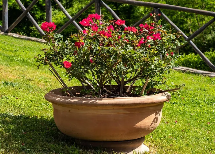 Terrazza Sul Parco Daire Bagno di Romagna